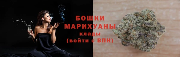 молекула духа Арсеньев