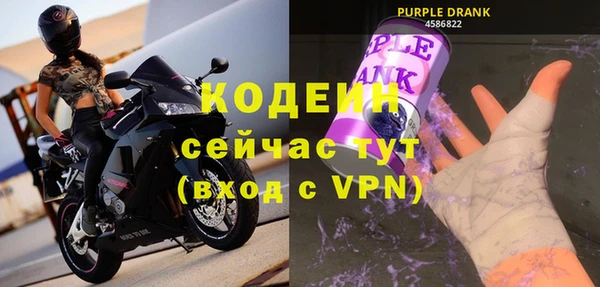 молекула духа Арсеньев