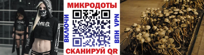 Галлюциногенные грибы Cubensis  где найти наркотики  Малоархангельск 